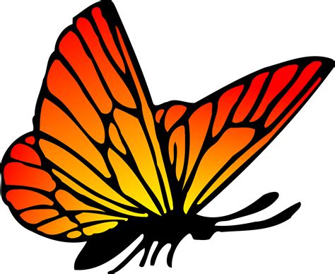 butterfly vector image|free butterfly clip art.